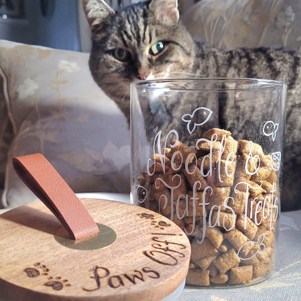 Personalised cat treat jar hand engraved with any message