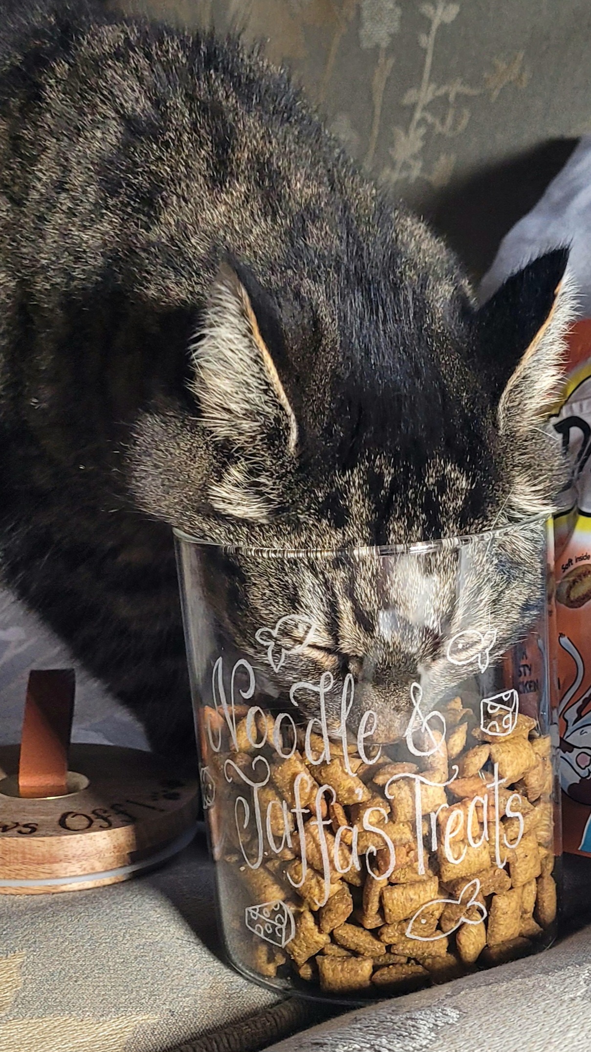 personalised glass jar hand engraved for cat kitten treats