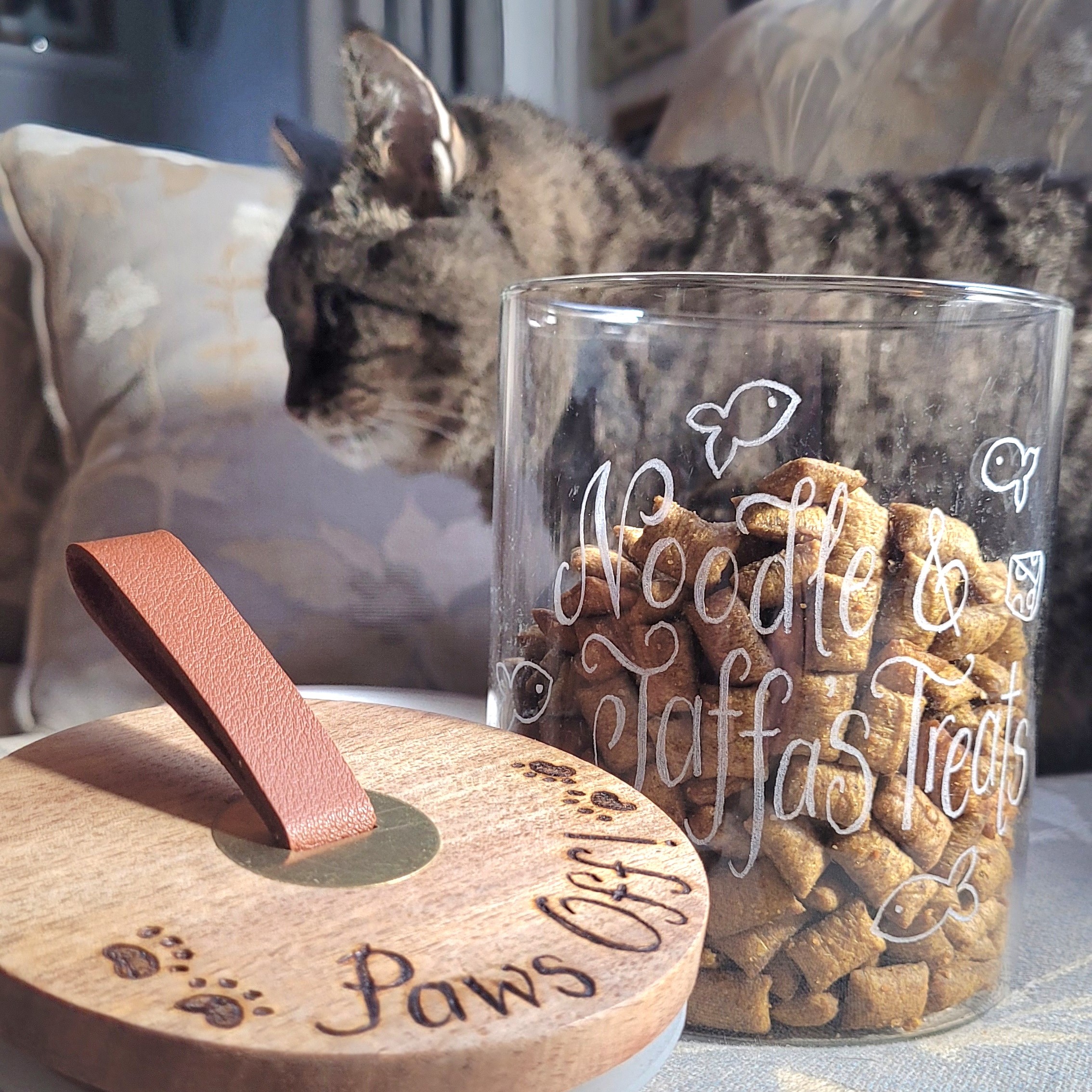 personalised glass jar hand engraved for cat kitten treats
